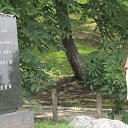 ������ ������ � ������� �� ������� ���� ����������