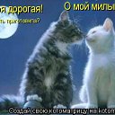 ���� ����, ���, 31 ��� - ��������� 21 ��� 2011 � ������ �������