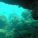 ���� �����, ���������, 48 ��� - ��������� 21 ������� 2012 � ������ ���� ����������