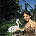 ���� ������, �����������, 55 ��� - ��������� 8 ������� 2011 � ������ ���� ����