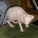 ���� �������, �����-���������, 48 ��� - ��������� 24 ������� 2011 � ������ �������