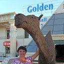 ���� �����, ��������� - ��������� 6 ���� 2013 � ������ ���� ����������