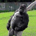 ���� �������, ������, 64 ���� - ��������� 11 ���� 2013 � ������ ���� ����������