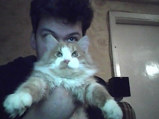 ����, ���������, 55 ���