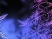 ������� � ���������� ���������� - http://vkontakte.ru/app2175066?from_id=1&amp;loc=4ec6d178bbc6939e18bfe02e �� ������� ���� ����������