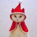 ���� ����� - ���������� ��������!!!, �����������, 56 ��� - ��������� 4 ������� 2009 � ������ �������ϻ