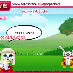 ���� Klia, ��������� - ��������� 3 ������� 2010