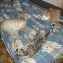 ���� Alex, ������, 50 ��� - ��������� 6 ��� 2012 � ������ ���� ����������