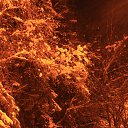 ���� Jouri, ������-��-���� - ��������� 24 ������ 2013 � ������ ��������