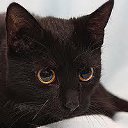 ���� ��������, ������, 22 ���� - ��������� 22 ���� 2012 � ������ �������