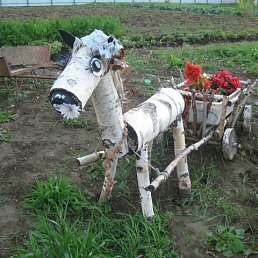 ���� ������, ������, 64 ���� - ��������� 19 ������� 2012