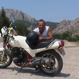 , 53, 