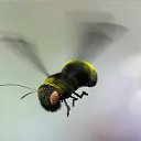 ���� 777, �������, 48 ��� - ��������� 3 ������� 2012 � ������ ���� ����������