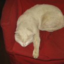 ���� ������, �����������, 48 ��� - ��������� 18 ��� 2011 � ������ �1�