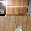 ���� �������, ���������, 35 ��� - ��������� 23 ����� 2010 � ������ ������ ������ �����