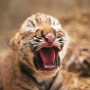 ���� �������, ��������� - ��������� 28 ����� 2012 � ������ ���� ����������