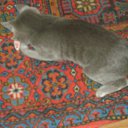 ���� �����, �������, 56 ��� - ��������� 29 ������� 2012 � ������ ������� �������