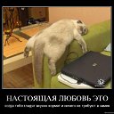 ���� �������, ������, 54 ���� - ��������� 28 ����� 2012 � ������ ���� ����������