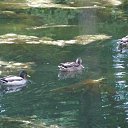 ���� �����, ������, 62 ���� - ��������� 13 ������� 2009 � ������ ���������