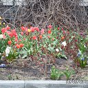  ,  -  26  2013    ""  2013 . 