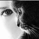  ♥  ♥,  -  8  2012   