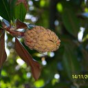  , , 56  -  15  2010     2010