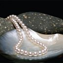 ���� Kisa, ��������������, 42 ���� - ��������� 17 ������� 2011 � ������ �������