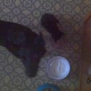 ���� �������, �����, 53 ���� - ��������� 23 ������� 2009 � ������ ����������