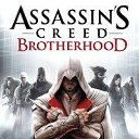 ���� �����, �����, 28 ��� - ��������� 24 ���� 2013 � ������ ���� ����������