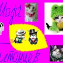  Infinitty, , 27  -  16  2010    ))