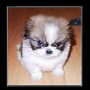 ���� ������� ����������, �����������, 48 ��� - ��������� 17 ������ 2012