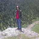  , --, 50  -  3  2009    