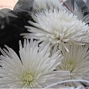 ���� �������, �������������� - ��������� 3 ��� 2013 � ������ �������