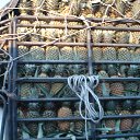 ���� �������, ���������, 51 ��� - ��������� 26 ��� 2013 � ������ ����