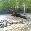 ���� ������, ����, 40 ��� - ��������� 11 ������� 2010 � ������ ���� ����������