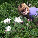 ���� �����, ������� - ��������� 24 ���� 2013 � ������ ���� ����������