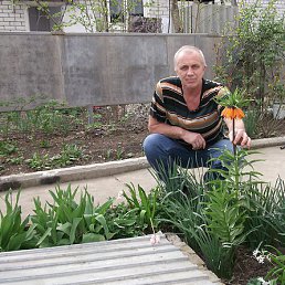 ���������, ����������, 65 ���