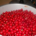 ���� �����, ������ - ��������� 5 ������� 2012 � ������ ����� ��������