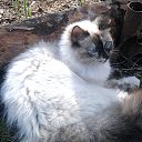 ���� ��������, ���������, 35 ��� - ��������� 9 ���� 2013 � ������ ����� ��� ������������