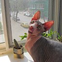 ���� �����, ������ - ��������� 2 ��� 2010 � ������ ���������� ������