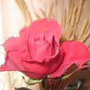 ���� �������, ������, 85 ��� - ��������� 13 ���� 2010