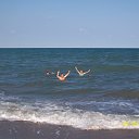 ���� ������, ��������� - ��������� 17 �������� 2012 � ������ ���� ����������