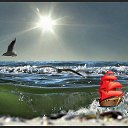  .,  -  22  2013    !