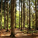 ���� �������, ������������, 52 ���� - ��������� 31 ����� 2010 � ������ �������