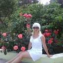 ���� ����, ��������� - ��������� 8 ������ 2012 � ������ ���� ����������