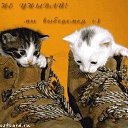 ���� Knoss, ������������, 26 ��� - ��������� 18 ������� 2009 � ������ �������� - �����������