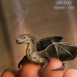 ����, ������������, 41 ���