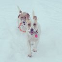 ���� Leonid, �����-���������, 39 ��� - ��������� 10 ������ 2013 � ������ �����-�����
