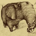 ���� ������, �����������, 44 ���� - ��������� 1 ������� 2010