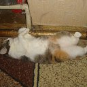 ���� �����, �������������, 25 ��� - ��������� 28 ���� 2013 � ������ ���� ����� �����.�